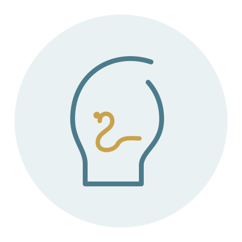 Outline light bulb on a pale blue circle, symbolizing an idea or innovation.